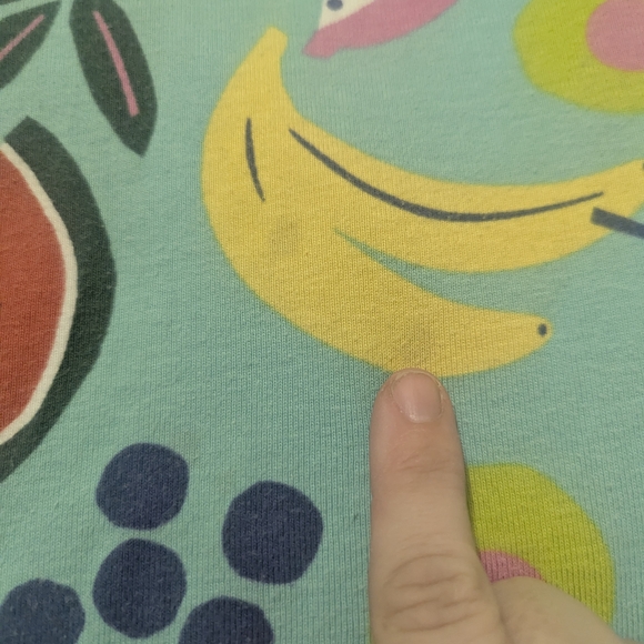 Hanna Andersson Teal Fruits Pajama Set - Picture 2 of 3